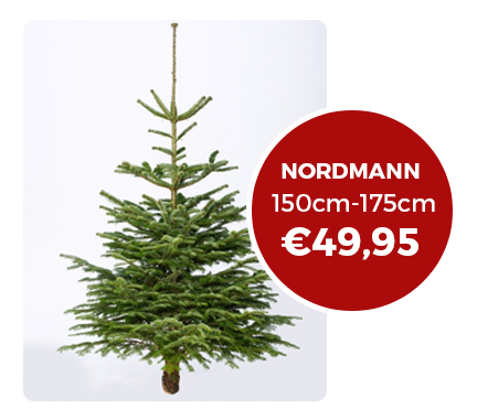 Echte kerstbomen online bestellen
